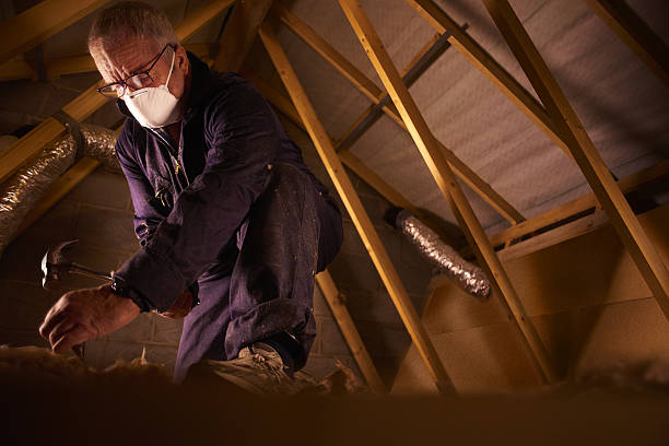 Types of Insulation We Offer in Saluda, SC