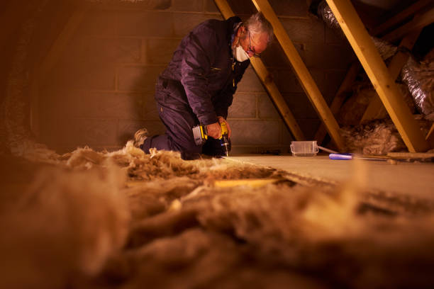 Best Insulation for Specific Applications in Saluda, SC